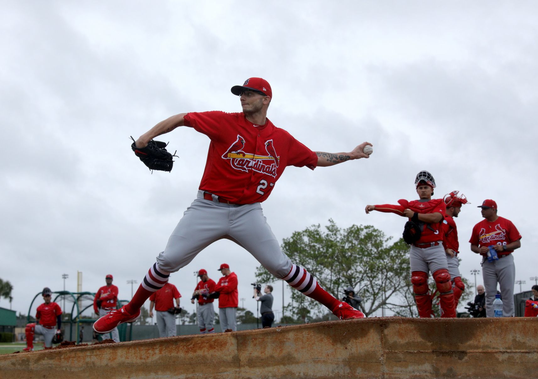 Cardinals spring training